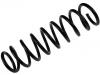 Muelle de chasis Coil Spring:4140A022
