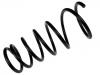 Fahrwerksfeder Coil Spring:41111-63J10