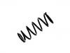 Muelle de chasis Coil Spring:55020-5M811