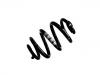 Muelle de chasis Coil Spring:7H0 511 115 AP