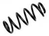 Muelle de chasis Coil Spring:8E0 411 105 DL