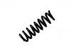 Fahrwerksfeder Coil Spring:33 53 6 851 933