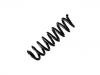 Fahrwerksfeder Coil Spring:33 53 6 851 929