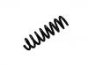 Fahrwerksfeder Coil Spring:33 53 6 851 729