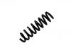 Coil Spring:33 53 6 851 728