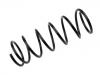 Muelle de chasis Coil Spring:1251225