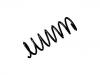 Muelle de chasis Coil Spring:BBL3-28-011A
