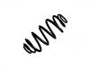 Ressort hélicoidal Coil Spring:639 321 26 04