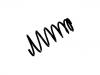Muelle de chasis Coil Spring:48231-48041