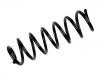 Muelle de chasis Coil Spring:55 02 000 62R