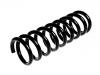 Coil Spring:REB500050