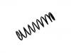 Muelle de chasis Coil Spring:RKB101660