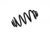 Muelle de chasis Coil Spring:13287599