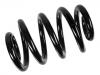 Muelle de chasis Coil Spring:45 00 087