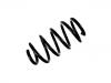 Fahrwerksfeder Coil Spring:60 01 548 954