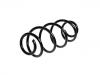 Coil Spring:5102.N0