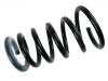 Coil Spring:30645930