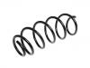 Coil Spring:5002.TQ