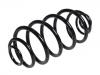 Coil spring:931872221