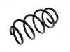 Fahrwerksfeder Coil spring:22133045