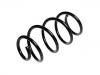 Coil spring:6R0 411 105 CA