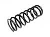 Coil spring:RKB500290