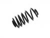 Coil spring:13322083