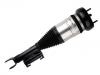 减振器 Shock Absorber:205 320 47 68