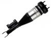 减振器 Shock Absorber:205 320 48 68
